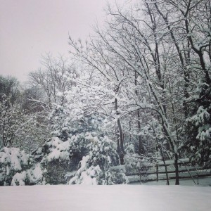 Snow in VA 