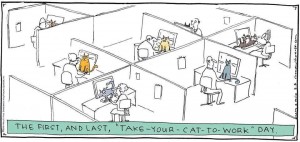 Take Your Cat To Work Day