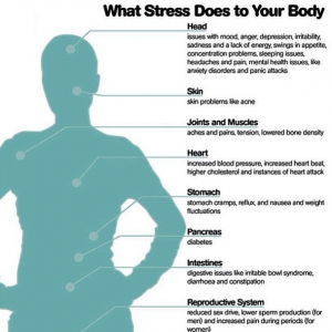 Stress Effects