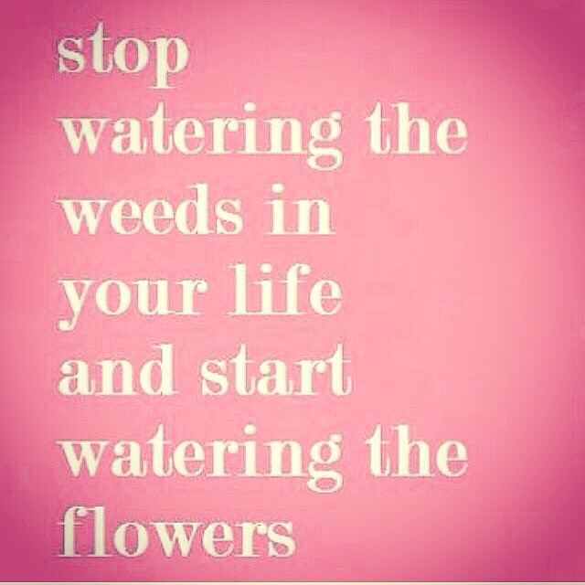 Water the Flowers Quote