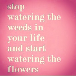 Water flowers