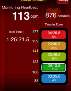 Heart Rate Boxing