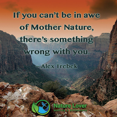 Mother Nature 