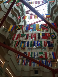 These flags represent all the countries where St. Jude Doctors and Researchers come from. The brightest minds in the world are all working together to end childhood cancer.