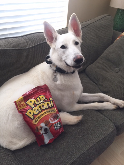 Trooper with Bacon Treats