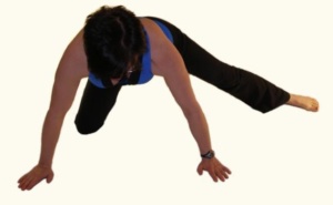 Long Adductors - Hip Flexibility